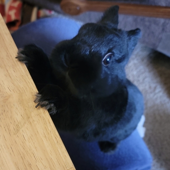 10mm Sugilite Bracelet - Picture 7 of 9